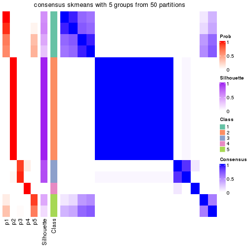 plot of chunk tab-node-0231-consensus-heatmap-4