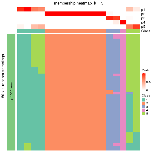 plot of chunk tab-node-0231-membership-heatmap-4