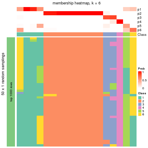 plot of chunk tab-node-0231-membership-heatmap-5