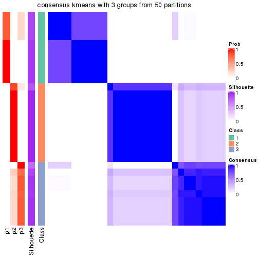 plot of chunk tab-node-024-consensus-heatmap-2