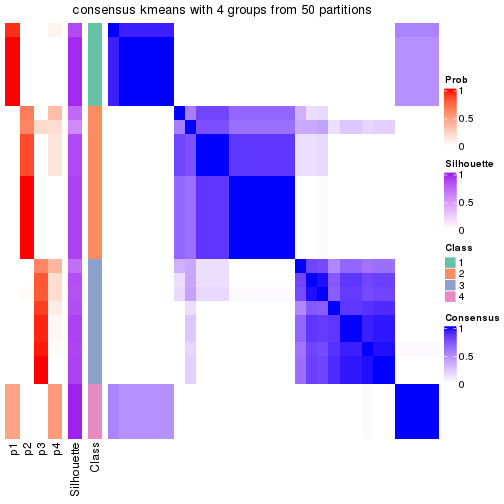 plot of chunk tab-node-024-consensus-heatmap-3