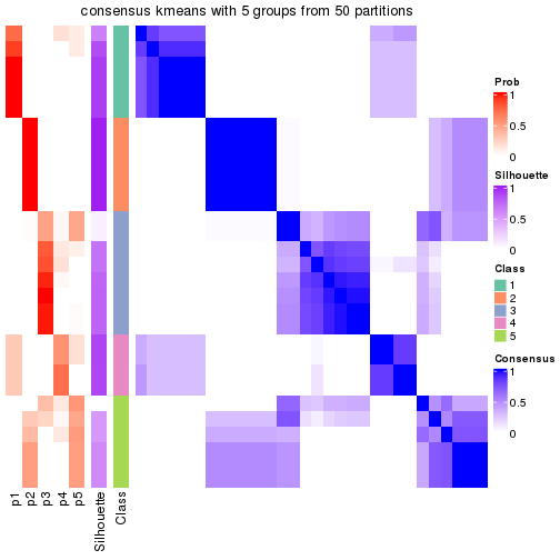 plot of chunk tab-node-024-consensus-heatmap-4