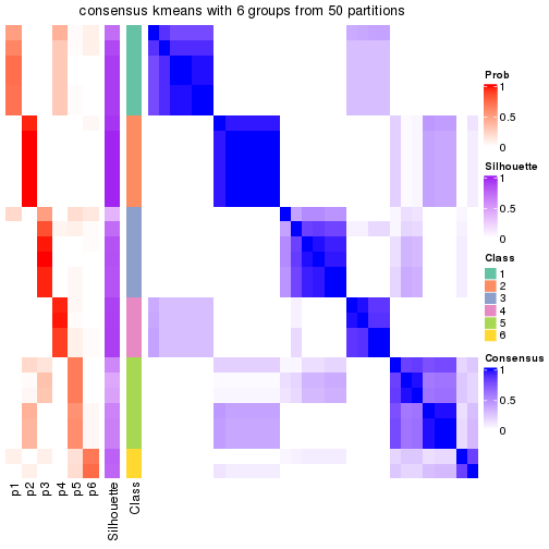 plot of chunk tab-node-024-consensus-heatmap-5