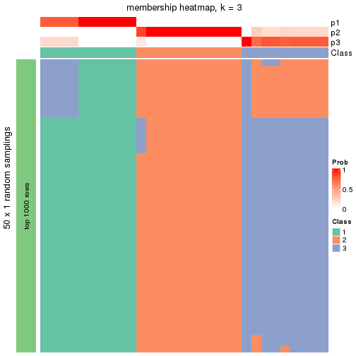 plot of chunk tab-node-024-membership-heatmap-2