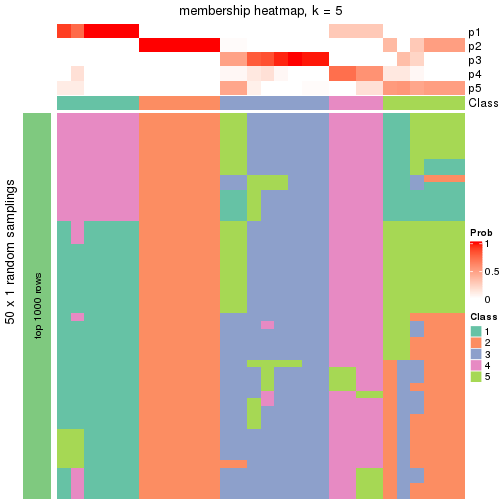 plot of chunk tab-node-024-membership-heatmap-4