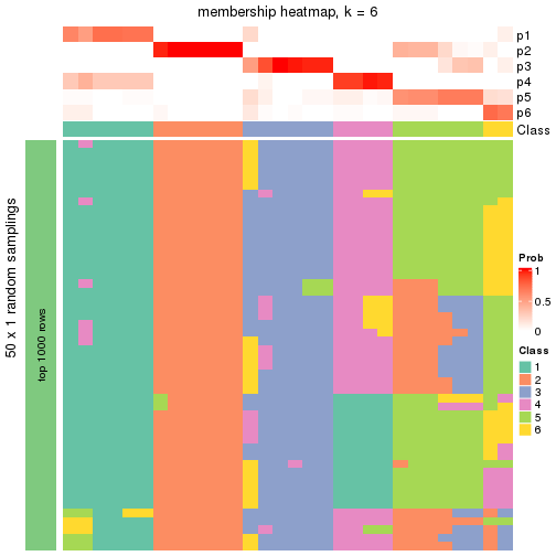 plot of chunk tab-node-024-membership-heatmap-5