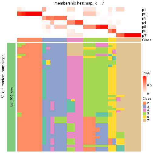 plot of chunk tab-node-024-membership-heatmap-6