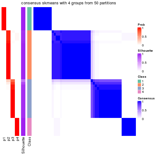 plot of chunk tab-node-03-consensus-heatmap-3