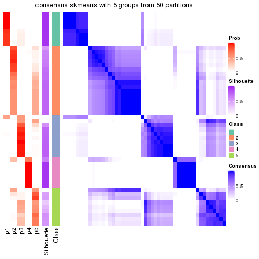 plot of chunk tab-node-03-consensus-heatmap-4