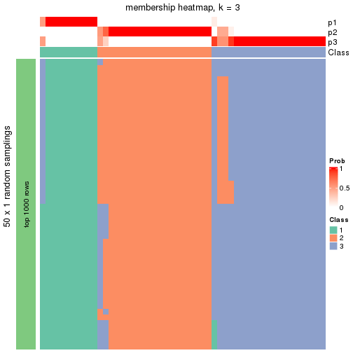 plot of chunk tab-node-03-membership-heatmap-2