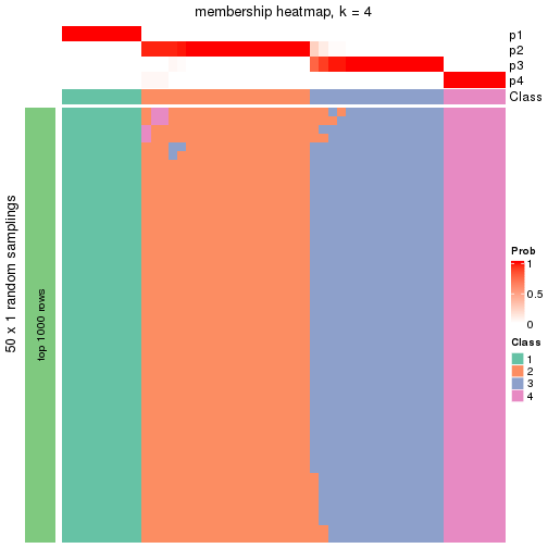 plot of chunk tab-node-03-membership-heatmap-3