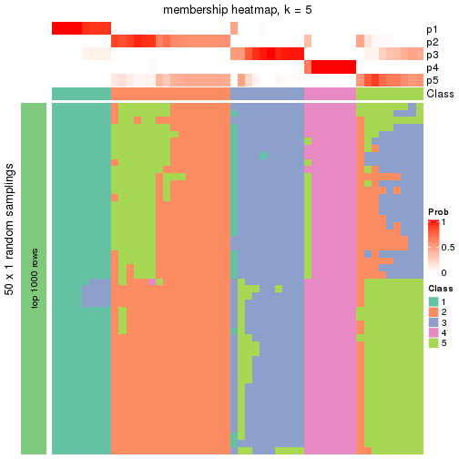 plot of chunk tab-node-03-membership-heatmap-4