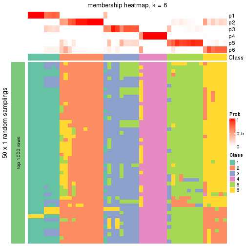 plot of chunk tab-node-03-membership-heatmap-5