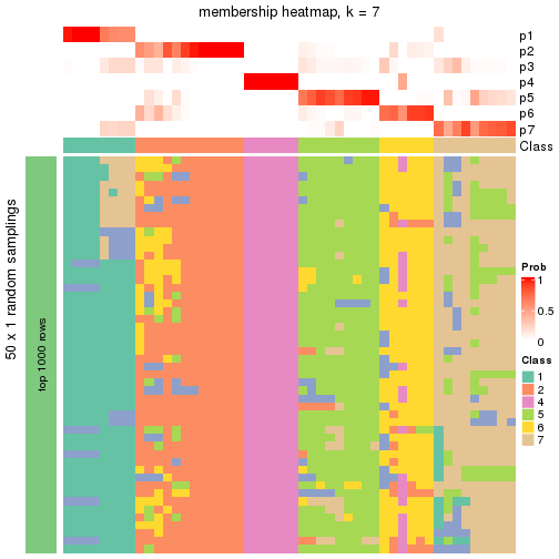 plot of chunk tab-node-03-membership-heatmap-6