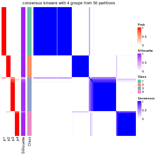 plot of chunk tab-node-04-consensus-heatmap-3