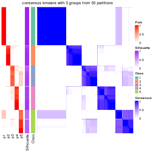 plot of chunk tab-node-04-consensus-heatmap-4