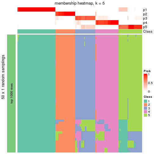 plot of chunk tab-node-04-membership-heatmap-4