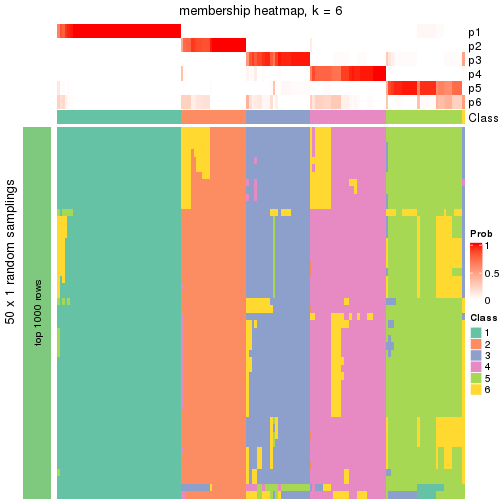 plot of chunk tab-node-04-membership-heatmap-5