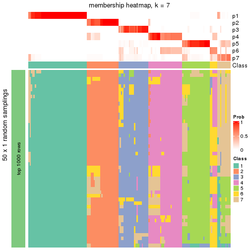 plot of chunk tab-node-04-membership-heatmap-6