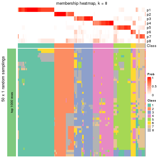 plot of chunk tab-node-04-membership-heatmap-7