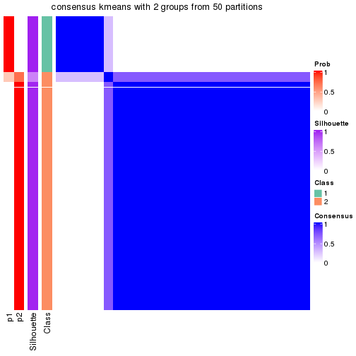 plot of chunk tab-node-041-consensus-heatmap-1