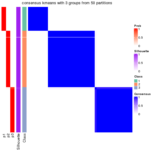 plot of chunk tab-node-041-consensus-heatmap-2