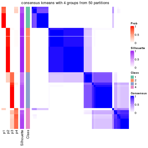 plot of chunk tab-node-041-consensus-heatmap-3