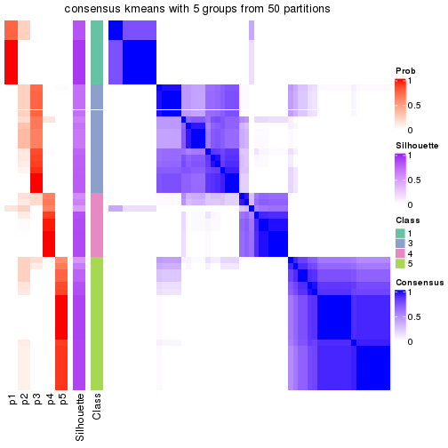 plot of chunk tab-node-041-consensus-heatmap-4