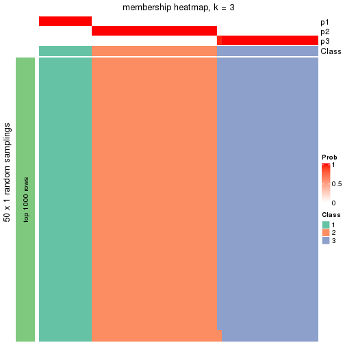 plot of chunk tab-node-041-membership-heatmap-2