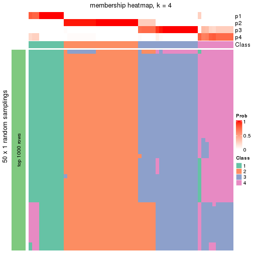 plot of chunk tab-node-041-membership-heatmap-3