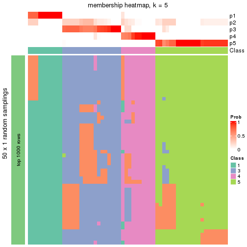 plot of chunk tab-node-041-membership-heatmap-4