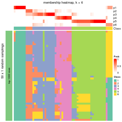 plot of chunk tab-node-041-membership-heatmap-5