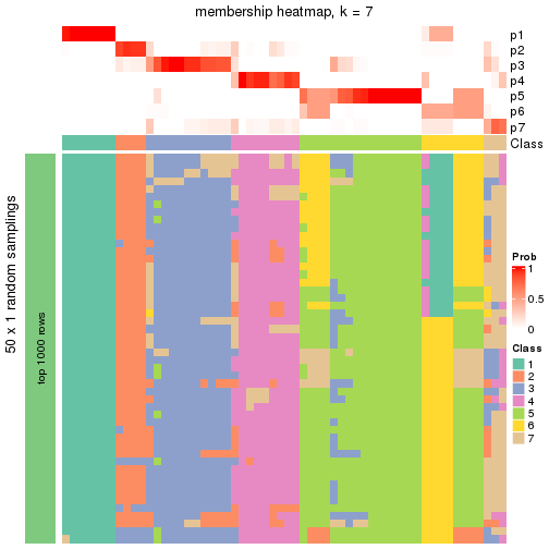 plot of chunk tab-node-041-membership-heatmap-6