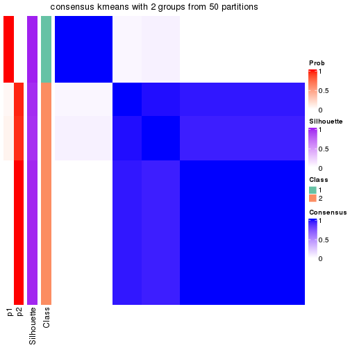 plot of chunk tab-node-042-consensus-heatmap-1