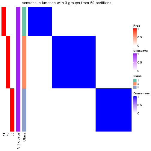 plot of chunk tab-node-042-consensus-heatmap-2