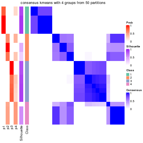 plot of chunk tab-node-042-consensus-heatmap-3