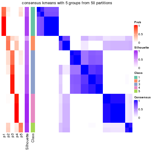 plot of chunk tab-node-042-consensus-heatmap-4