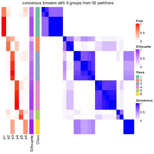 plot of chunk tab-node-042-consensus-heatmap-5