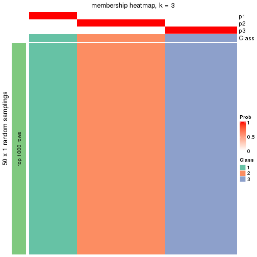 plot of chunk tab-node-042-membership-heatmap-2