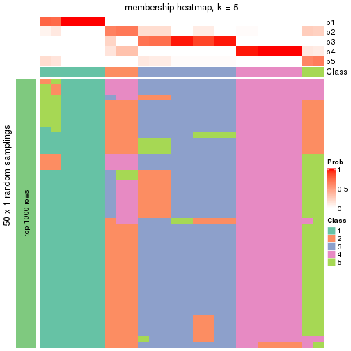 plot of chunk tab-node-042-membership-heatmap-4