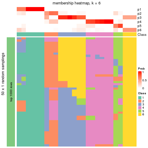 plot of chunk tab-node-042-membership-heatmap-5