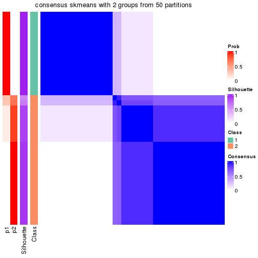 plot of chunk tab-node-043-consensus-heatmap-1