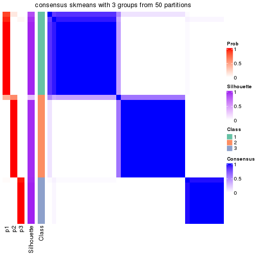 plot of chunk tab-node-043-consensus-heatmap-2