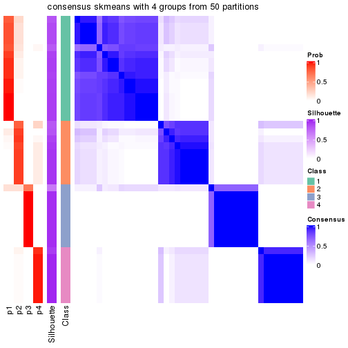 plot of chunk tab-node-043-consensus-heatmap-3