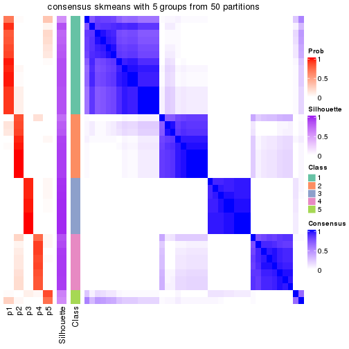 plot of chunk tab-node-043-consensus-heatmap-4