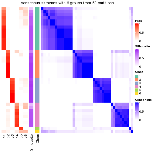 plot of chunk tab-node-043-consensus-heatmap-5