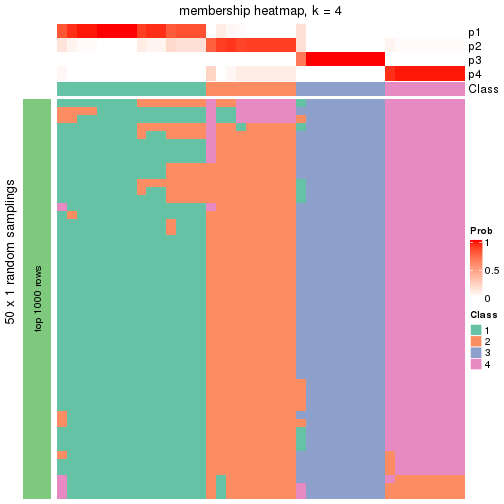 plot of chunk tab-node-043-membership-heatmap-3