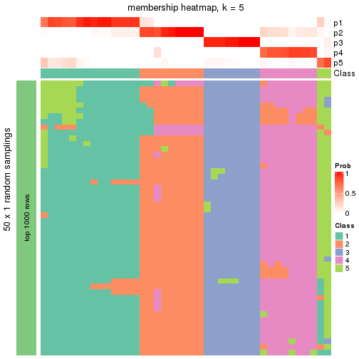 plot of chunk tab-node-043-membership-heatmap-4