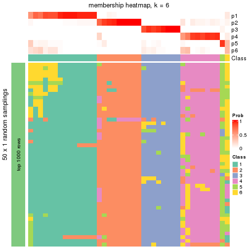 plot of chunk tab-node-043-membership-heatmap-5