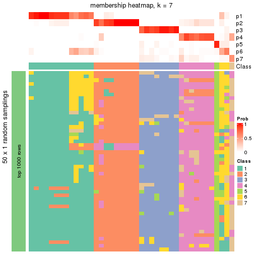 plot of chunk tab-node-043-membership-heatmap-6